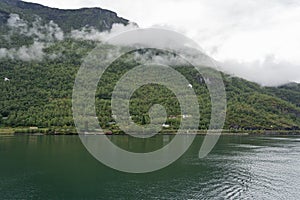 Sognefjord sea landscape view with forested hills, Norway