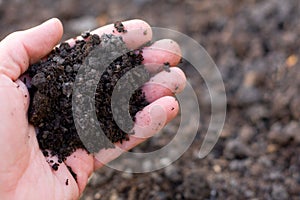 Soil photo