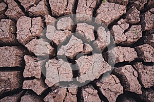 Soil arid , season water shortage