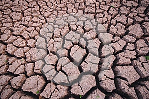 Soil arid , season water shortage