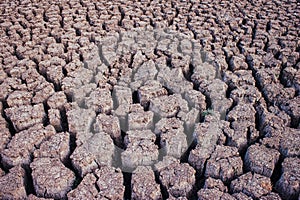 Soil arid , season water shortage