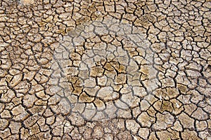 Soil arid , season water shortage