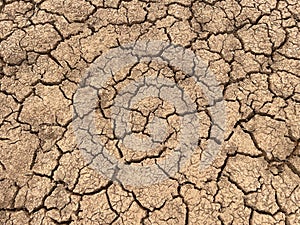 soil arid texture isolated on white background .