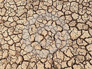 soil arid texture isolated on white background .