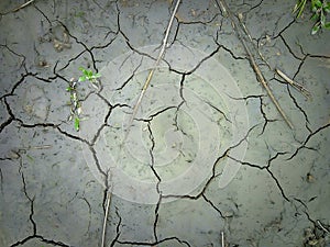 Soil brown Dirt Road texture