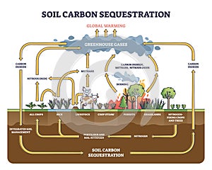 Soil carbon sequestration with greenhouse gases absorption outline diagram