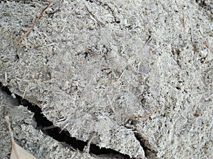 WELL DRAINED SOIL photo