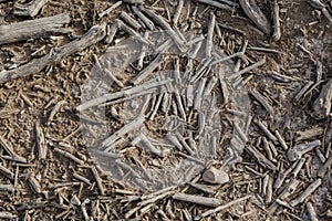 Soil covered with wood sticks