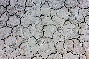 Soil Cracked arid pattern for background.