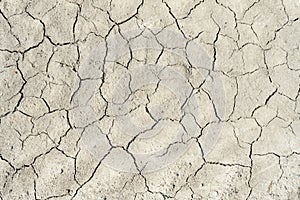 The soil cracked from the drought and the scorching sun.