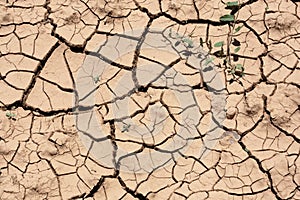 Soil - Cracked dry land without water- Textures