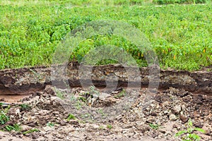 Soil degradation