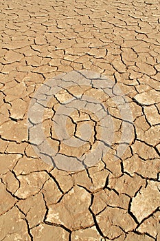 Soil detail of dry pan, Sossusvlei, Namib Desert