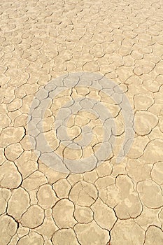 Soil detail of dry pan, Sossusvlei, Namib Desert