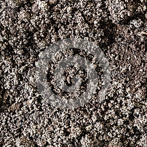 Soil dirt background texture