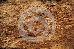 Soil or dirt Cross Section Close-up. Underground earth texture, cross section. Geological Layers