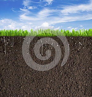 Soil or dirt section with grass under sky as