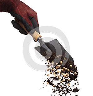 Soil dirt Soy bean mix in garden shovel hand glove, Soybean soil fertilizer abstract cloud fly. Soil mix soy bean planting splash