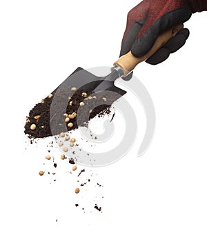 Soil dirt Soy bean mix in garden shovel hand glove, Soybean soil fertilizer abstract cloud fly. Soil mix soy bean planting splash