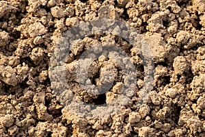 Soil dirt texture background