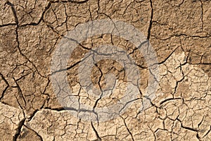 Soil drought cracked texture