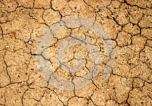 Soil drought cracked texture