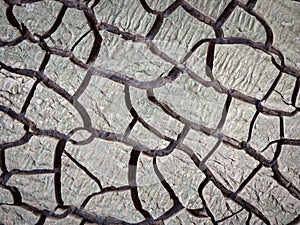 Soil drought cracked texture background