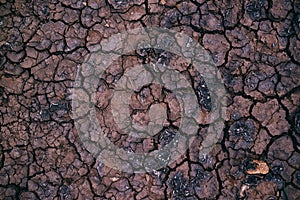 Soil drought, cracks in dry land