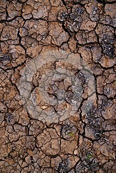 Soil drought and mud cracks in dry land
