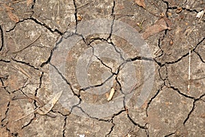 Soil in drought with a pattern of cracks close-up. Cracks in the soil of the heart. On the soil of craquelure.