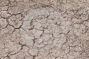 The soil is dry until shattered, used as a background.