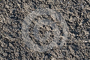 Soil Earth Texture