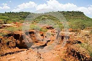 Soil erosion photo