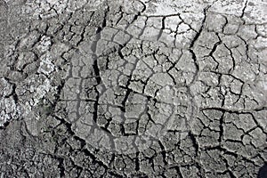 Soil erosion close up