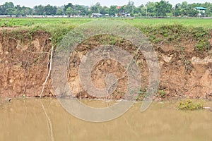 Soil erosion due to water erosion.