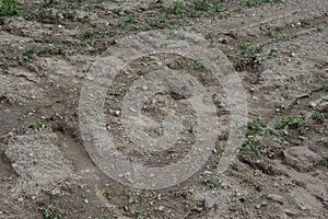 Soil erosion on a field