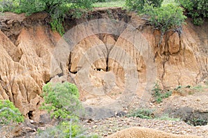 Soil erosion