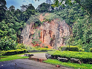 Soil erosion and landslide at disused quarry cliff