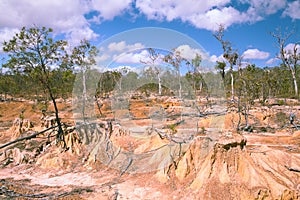 Soil erosion by overgrazing