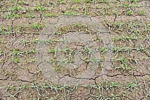 Soil erosion after snow melt in spring