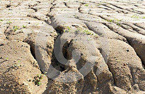 Soil erosion to overgrazing leading