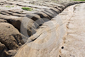 Soil erosion to overgrazing leading