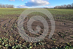 soil erosion wasted field