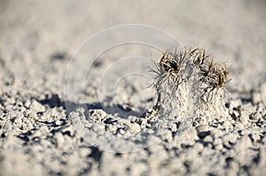 Soil erosion, white sand