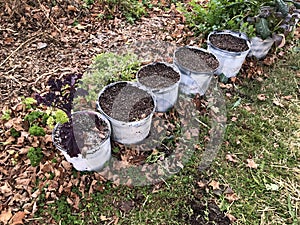Soil-filled Pots Lined Up in Beautiful Wild Garden