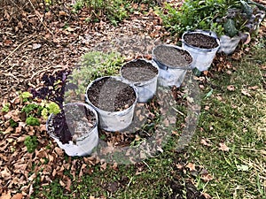 Soil-filled Pots Lined Up in Beautiful Wild Garden