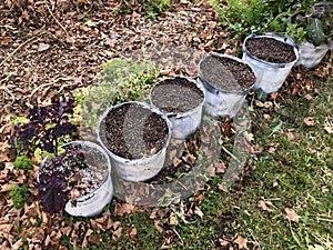 Soil-filled Pots Lined Up in Beautiful Wild Garden