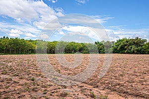 Soil, forest and sky in agriculture