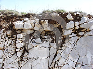 Soil formation on limestone photo