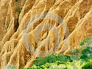 Soil formations caused by erosion in the Addo Elephant Park, Sou